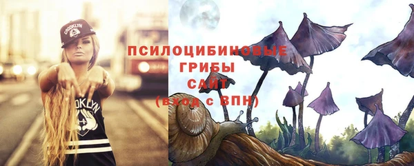 меф Богородицк